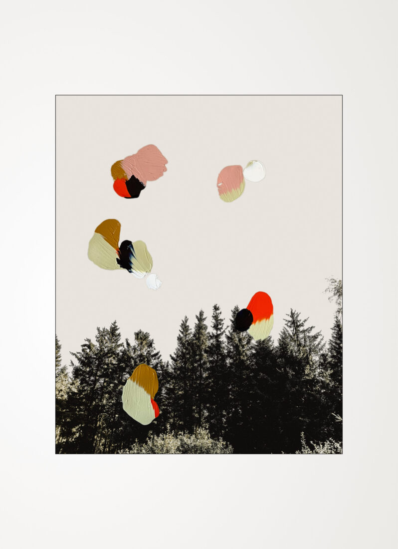 COLLECTIONS_DREAMER_1_DSC_6369