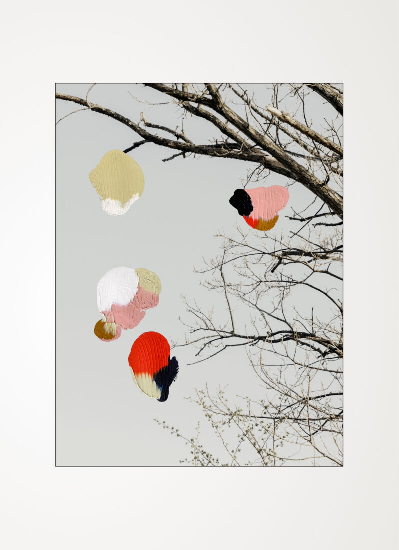 COLLECTIONS_LOOK-UP_01