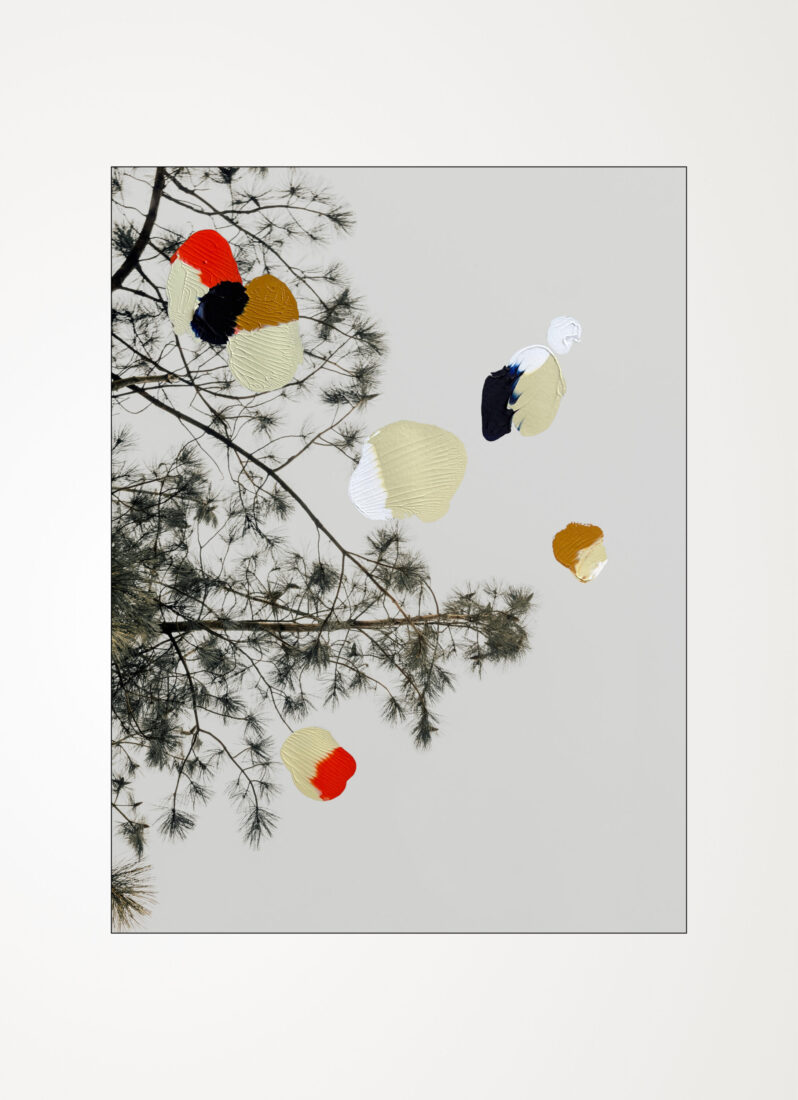 COLLECTIONS_LOOK-UP_02