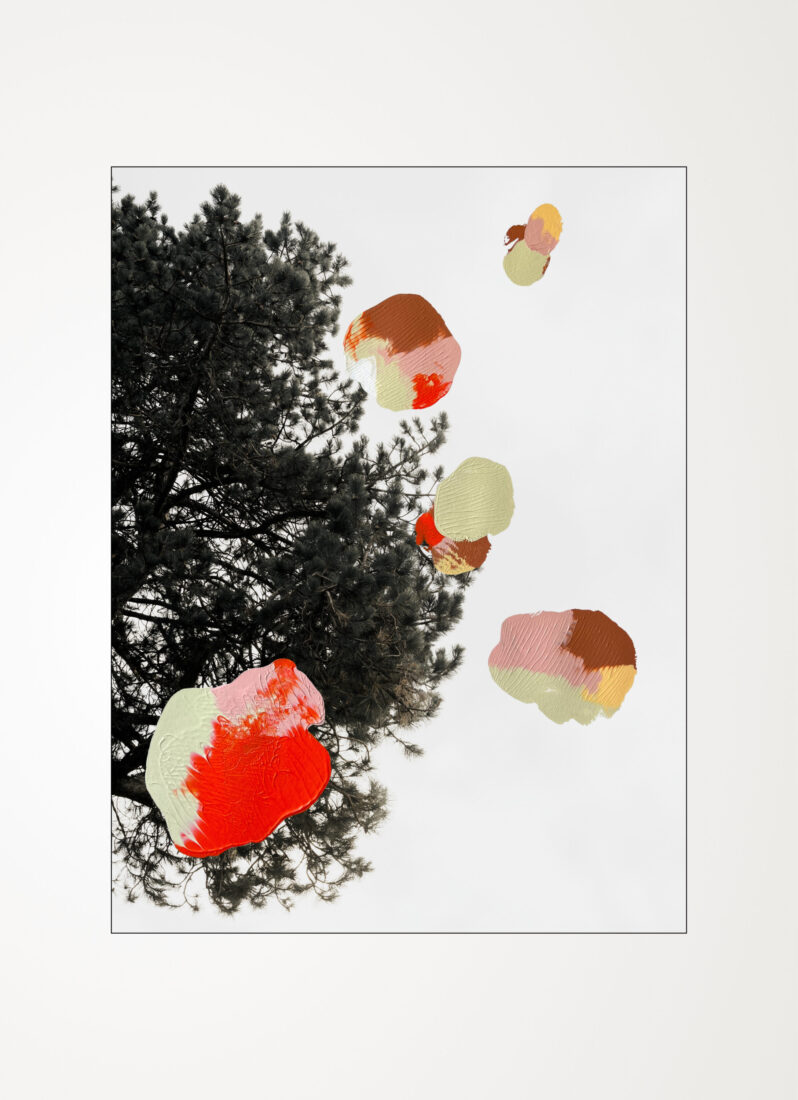 COLLECTIONS_LOOK-UP_03