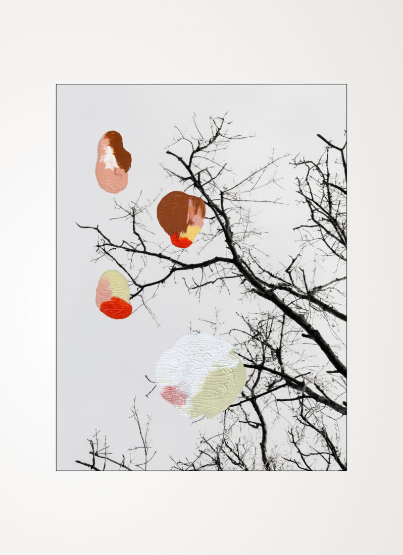 COLLECTIONS_LOOK-UP_04