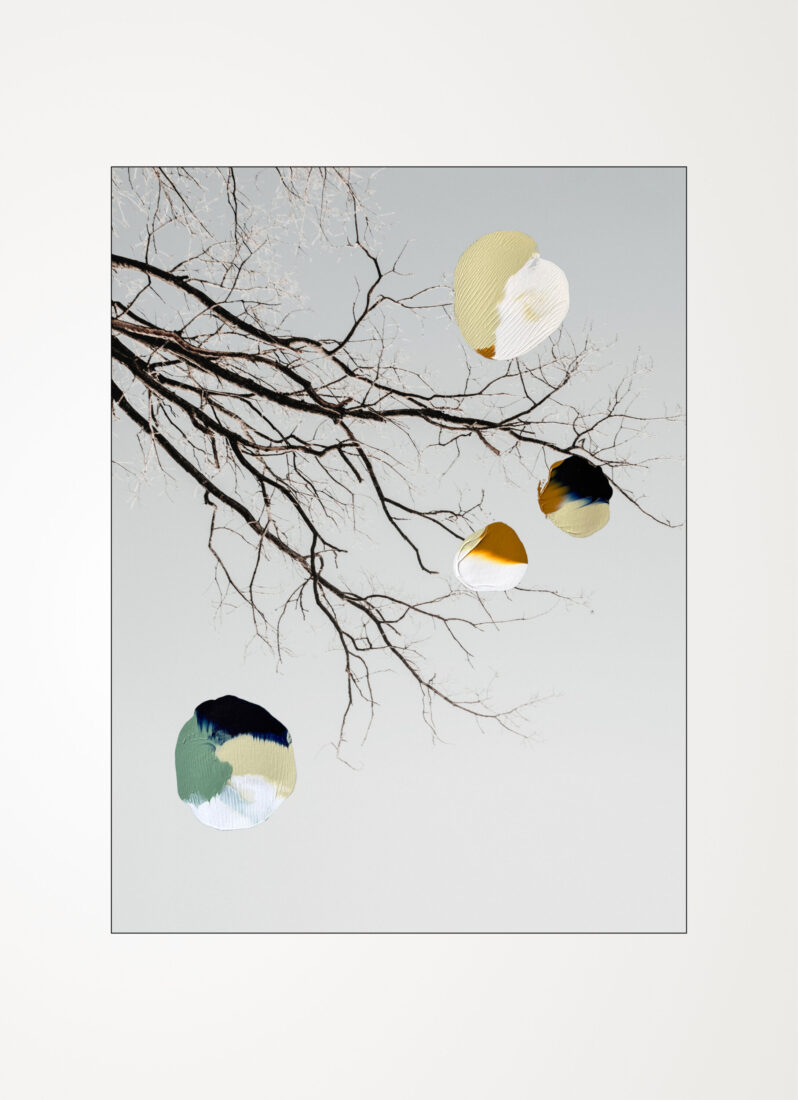 COLLECTIONS_LOOK-UP_05