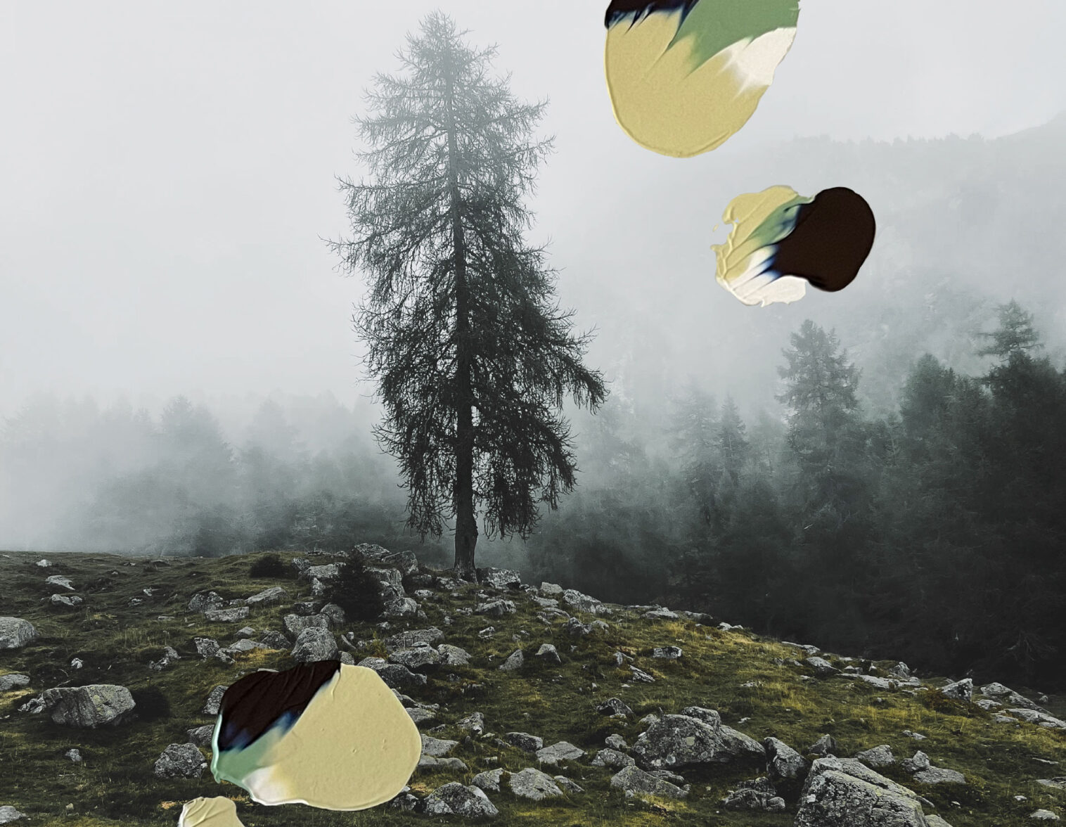 FOG_40x60_1_heller_mit-Farbe_frei