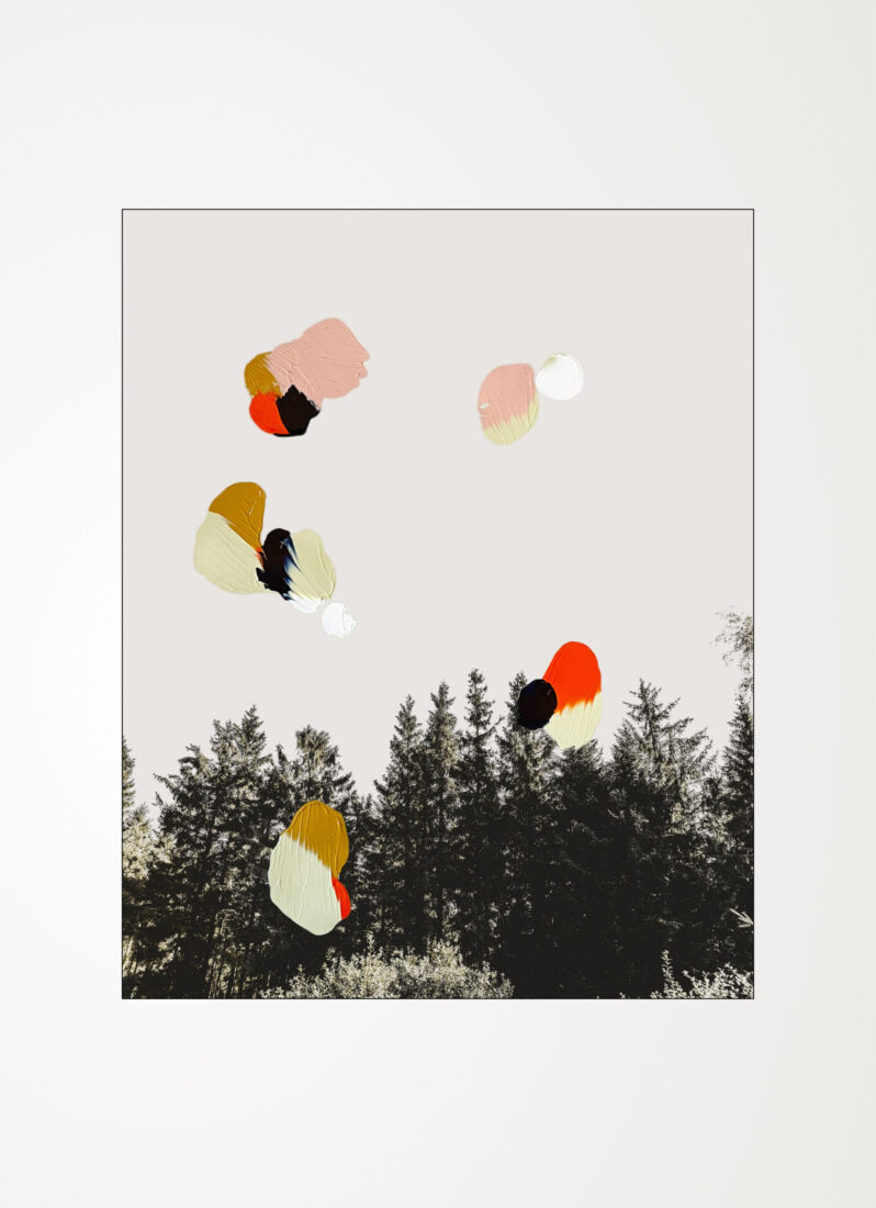 TEASERBILD_DREAMER_1_DSC_6369_mit-Farbe