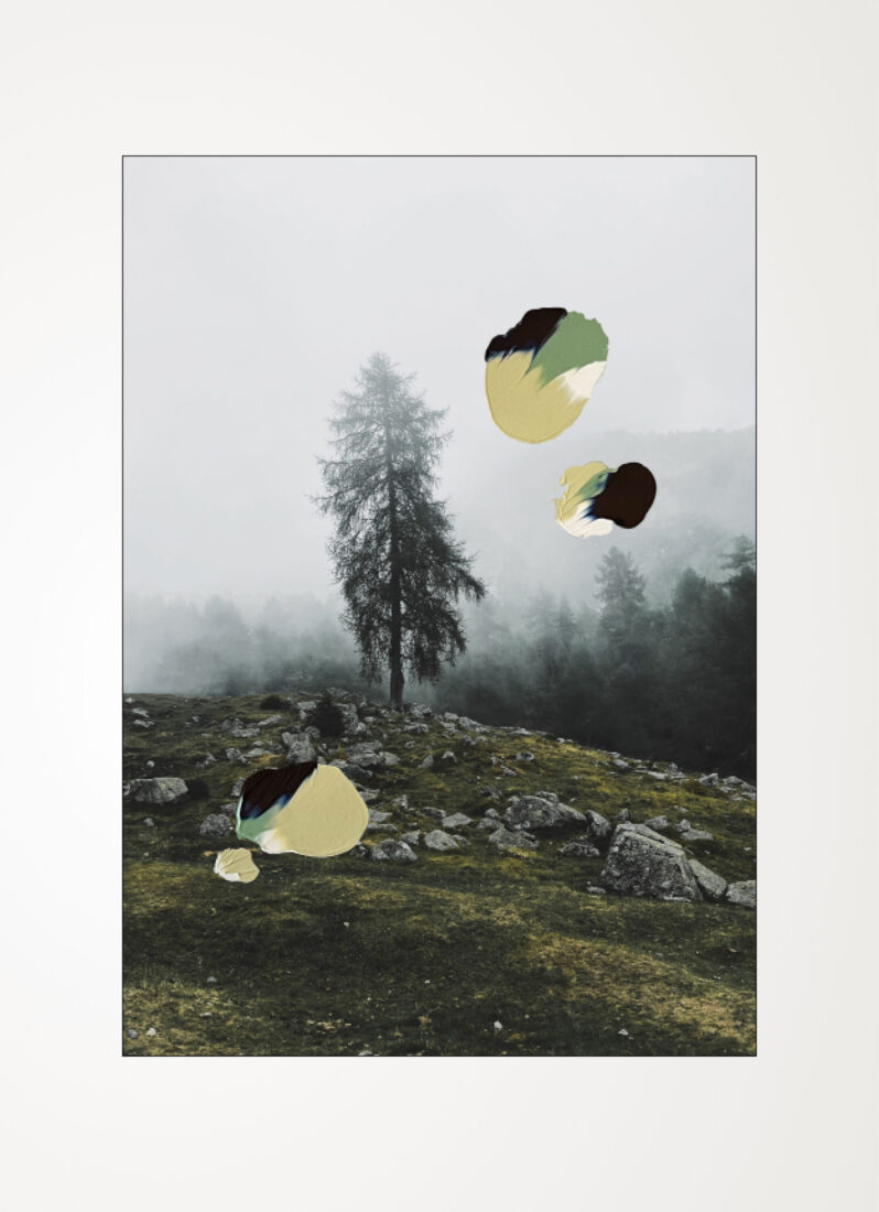 TEASERBILD_FOG_40x60_1_heller_mit-Farbe_frei